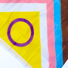Load image into Gallery viewer, Large Intersex Inclusive Progress Pride Flag