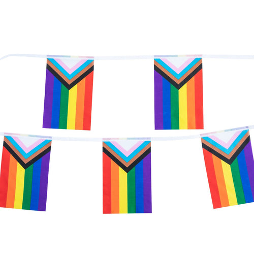 LGBTQIA+ rainbow bunting progress pride