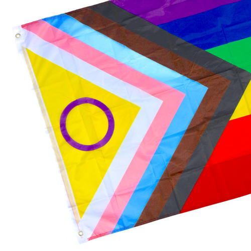 Large Intersex Inclusive Progress Pride Flag