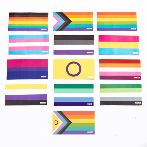LGBTQIA+ Pride Flag Stickers