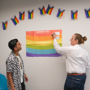 Rainbow Wall IDAHOBIT Minus18