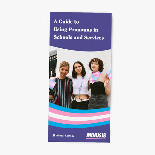 LGBTQIA+ trans gender diverse education flyer: guide to using pronouns in schools and services