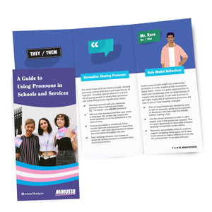 LGBTQIA+ trans gender diverse education flyer: guide to using pronouns in schools and services