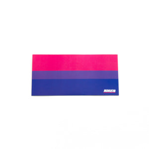 LGBTQIA+ Pride Flag Stickers