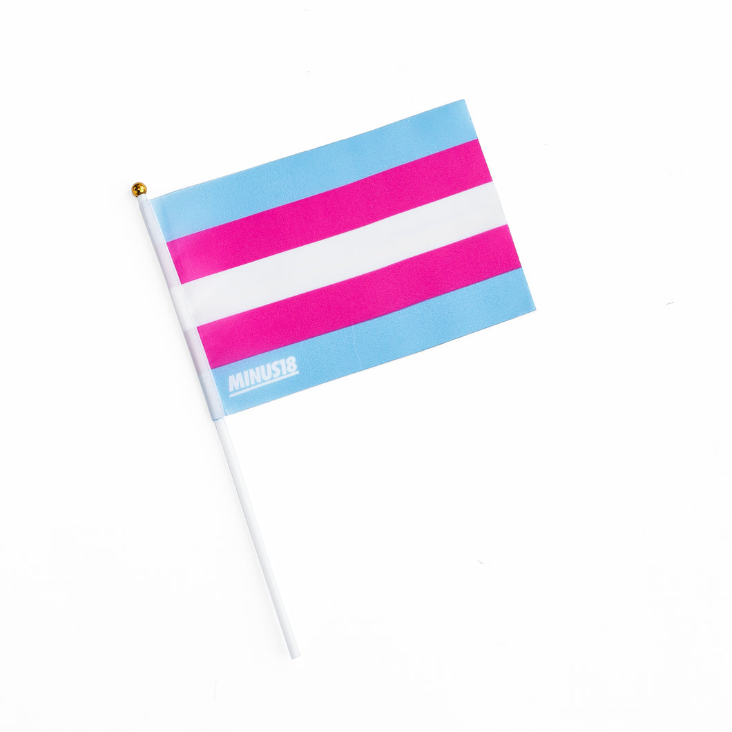 Handheld LGBTQIA+ Pride Flags