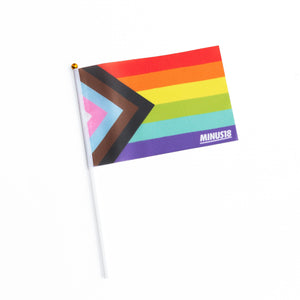 Handheld LGBTQIA+ Pride Flags