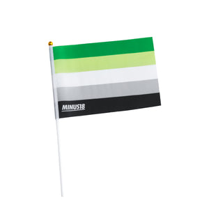 Handheld LGBTQIA+ Pride Flags
