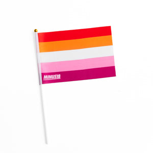 Handheld LGBTQIA+ Pride Flags