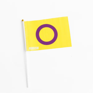 Handheld LGBTQIA+ Pride Flags