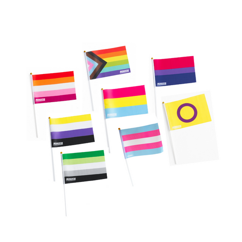 Handheld LGBTQIA+ Pride Flags