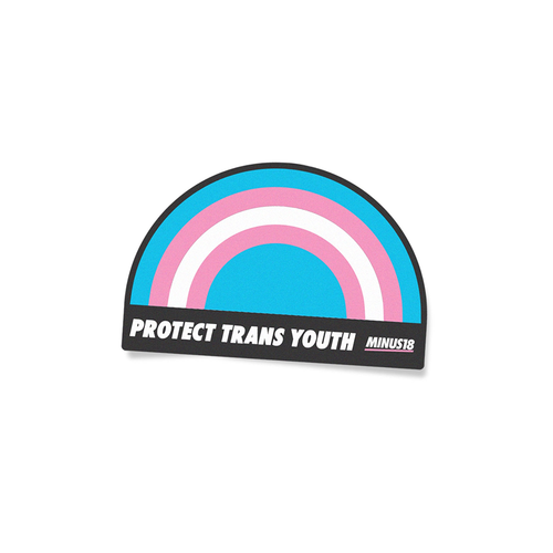 protect trans youth sticker